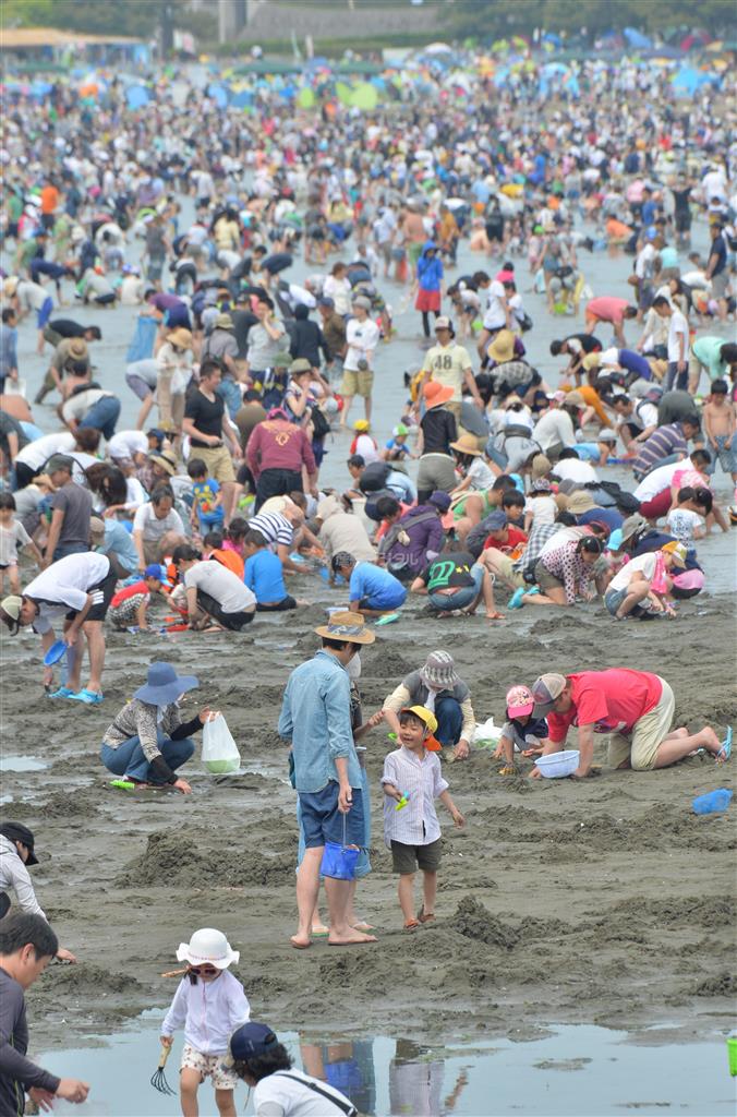 天候に恵まれ、横浜市の海の公園では多くの人が潮干狩りを楽しんだ＝２０１４年５月３日、神奈川県（三尾郁恵撮影）