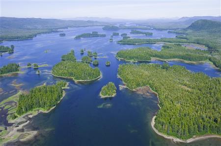 南東アラスカには２０００もの無人島が存在する＝２００９年７月３日、米アラスカ州（松本紀生さん撮影）