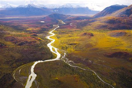 北極圏の広大な紅葉は上空からでも視界に収まりきらない＝２００９年８月３０日、米アラスカ州（松本紀生さん撮影）
