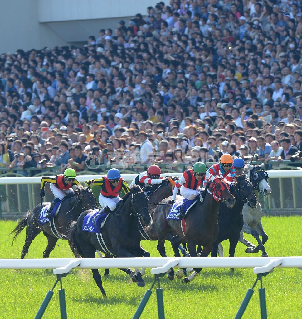 京都競馬場で行われた春の天皇賞。たくさんのファンが詰めかけた＝２０１４年５月４日、京都市伏見区（岩川晋也さん撮影）