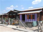 ティラワＳＥＺから移転した住民らの新しい住居。電気は通ったが井戸水の質が悪く、改善中だという（ＪＩＣＡ提供）