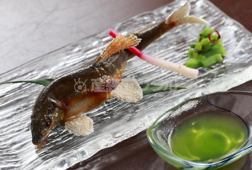 清涼感あふれる「鮎の塩焼き」（７５０円）も絶妙の焼き加減