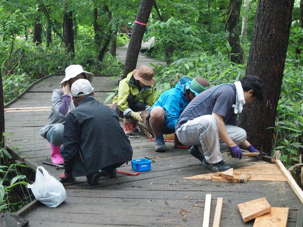 苗場ボードウォーク・ボランティア・キャンプの様子＝２０１１年６月２６日、新潟県南魚沼郡湯沢町（提供写真）