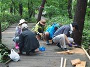 苗場ボードウォーク・ボランティア・キャンプの様子＝２０１１年６月２６日、新潟県南魚沼郡湯沢町（提供写真）
