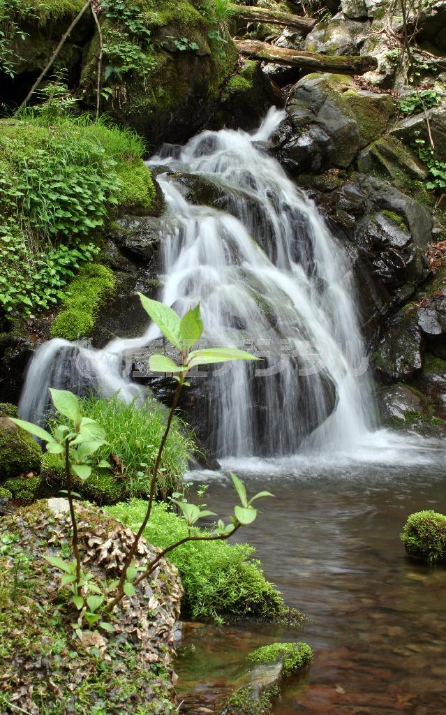 檜原の無名滝＝２００６年５月６日、東京都西多摩郡檜原村（野村成次撮影）