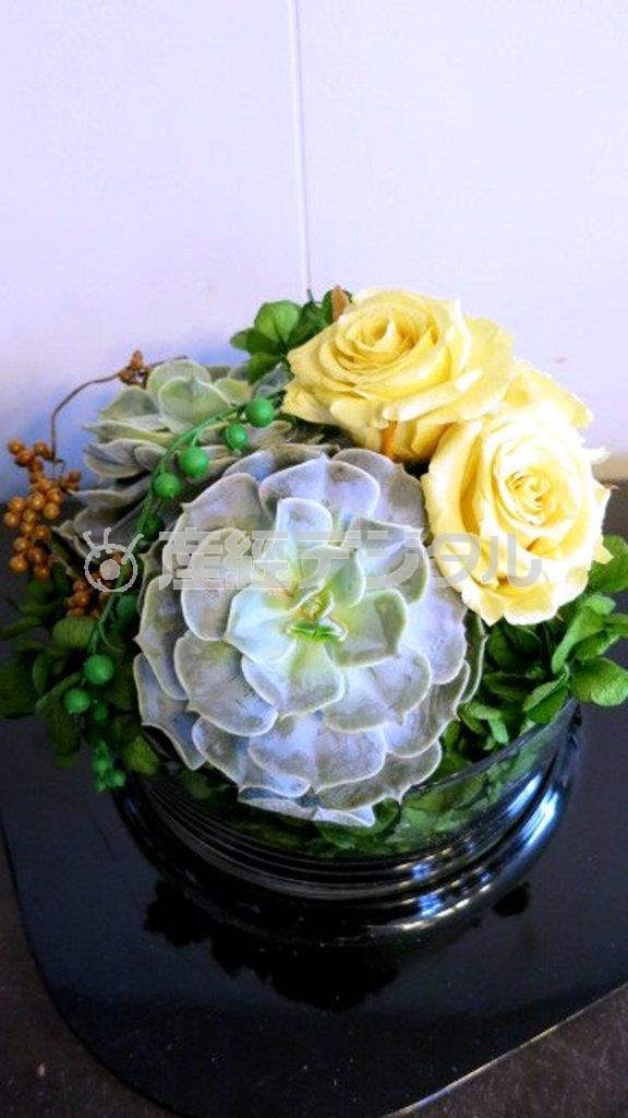 生花を加工して作った「プリザーブフラワー」と多肉植物との異素材ミックス（Ｆｉｎｉｓｈ！、花千代さん提供）