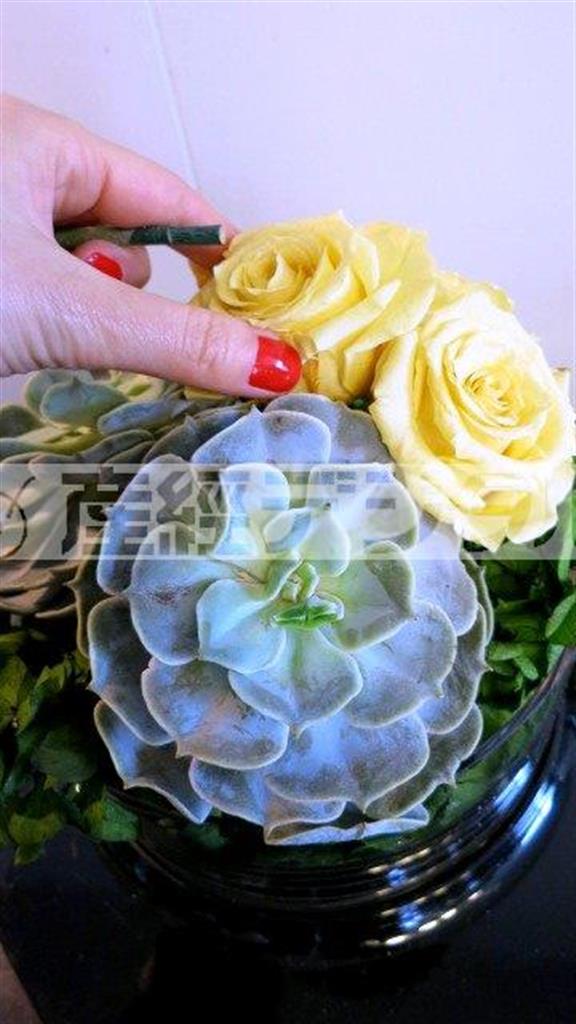 （手順３）プリザーブドのバラを３輪、多肉植物の後方に固めて挿す。挿す際、３輪にバランスよく高低をつける（花千代さん提供）