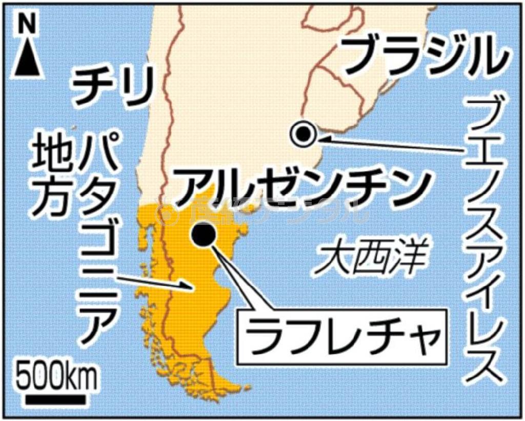 アルゼンチン、パタゴニア地方のラフレチャ