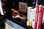 ビストロ内の書棚