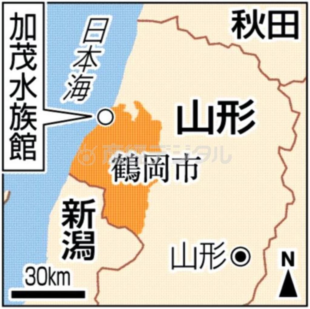 山形県鶴岡市・鶴岡市立加茂水族館