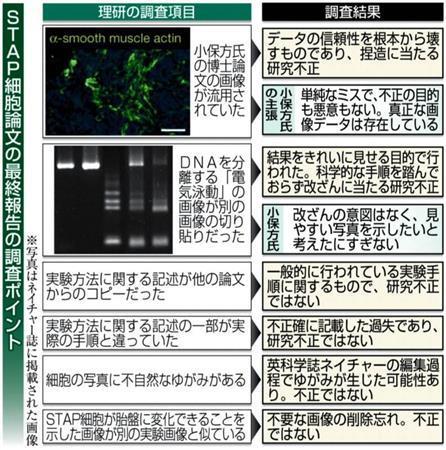 ＳＴＡＰ（スタップ）細胞論文の最終報告の調査ポイント＝２０１４年４月１日現在、※写真はネイチャー誌に掲載された画像、※小保方氏＝理化学研究所発生・再生科学総合研究センターの小保方（おぼかた）晴子研究ユニットリーダー
