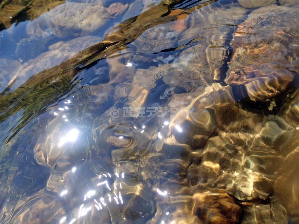 森から染み出た湧き水がビキン川を潤す＝２０１２年６月２３日、ロシア・クラスヌイ・ヤール村（伊藤健次さん撮影）