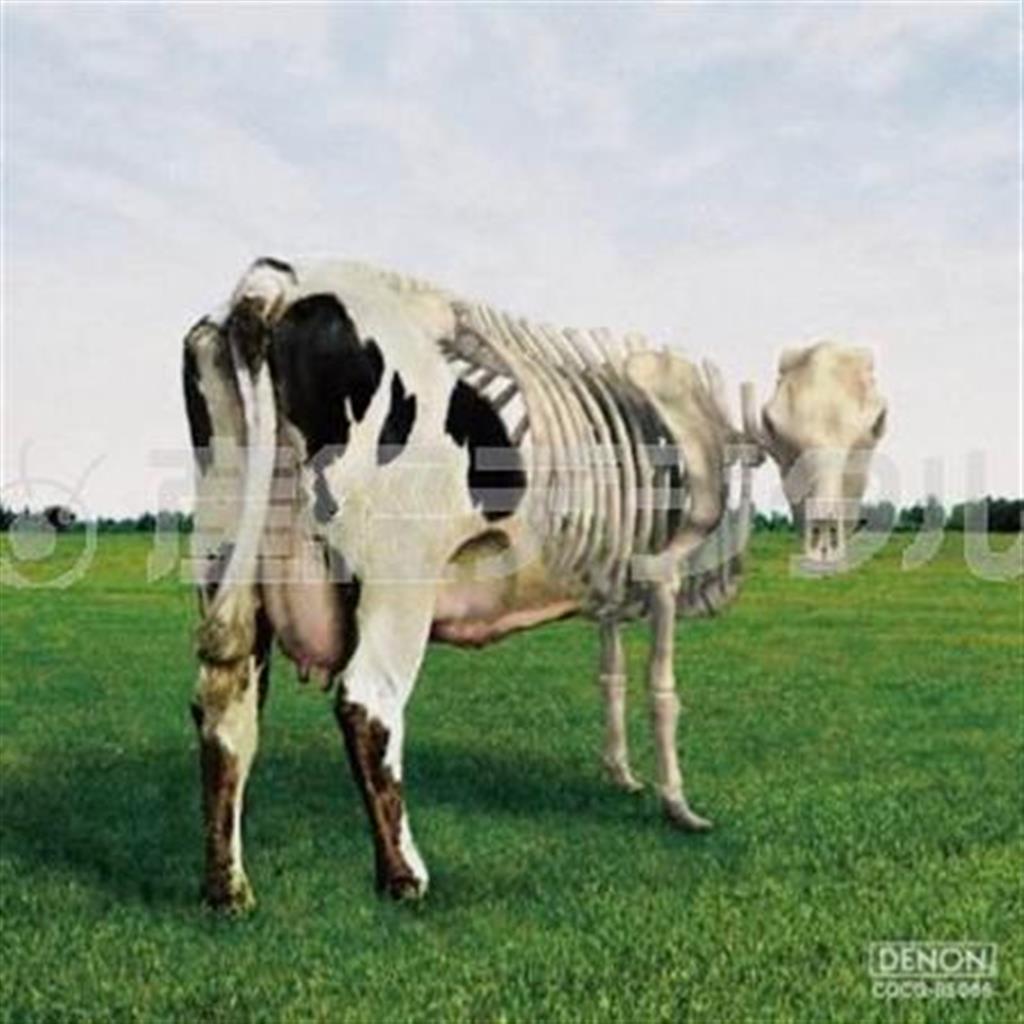 アルバム「原子心母の危機」（モルゴーア・クァルテット、２８００円＋税）。発売中（提供写真）