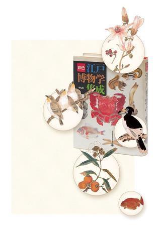 上から島津重豪の辛夷（こぶし）、左に掘田正敦のメジロ。右に高木春山のサイチョウ。下左が重豪のフトモモ。下が栗本丹州のランチュウ（小森康仁さん撮影、佐伯亮介さんデザイン、松岡正剛事務所提供）