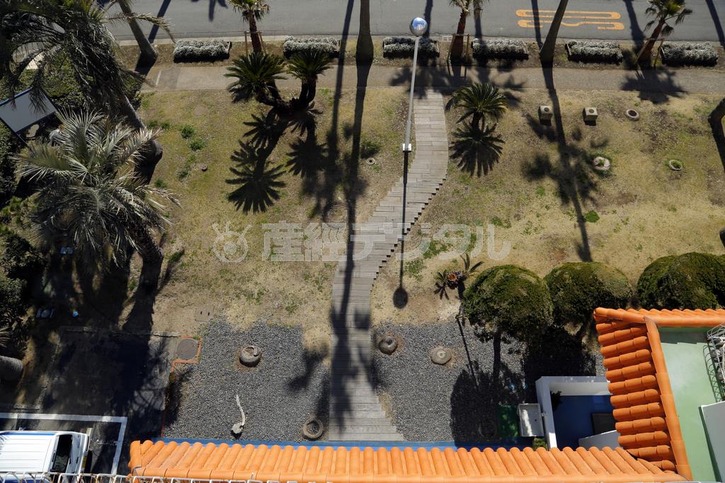 同じ景色でも影の強い日と弱い日があり、一日の中でも影が移動していきます。１時間ごとに撮影するのも面白いでしょう＝２０１４年３月１１日（須藤夕子さん撮影）