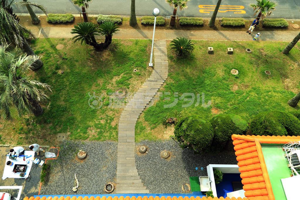 春の新緑がまずしい時期、やっと茶色の芝から緑に生え変わった５月の朝の写真です。工事の作業の方を左下に、娘を保育園に送っていく旦那さんの姿を入れてみました＝２０１４年６月３日（須藤夕子さん撮影）