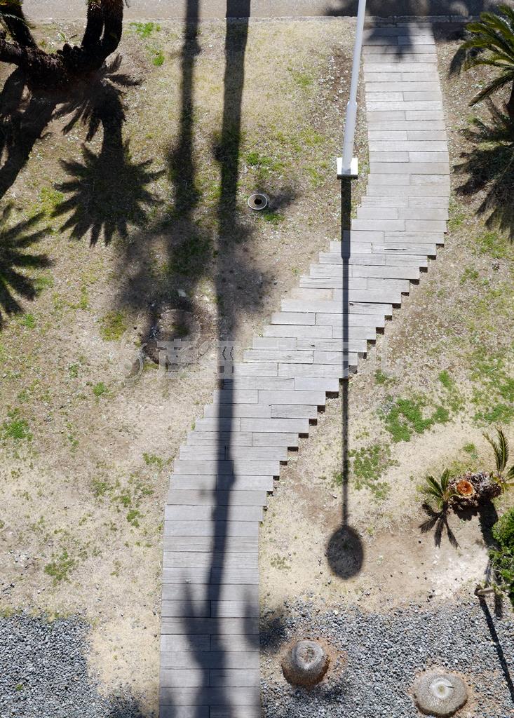 縦にして、この歩道の手前と先を切ることで長く続いている道のように見えてきますね。全てを見せないことで、同じ風景でも自分の撮りたい作風に変えることがトリミングの仕方でできます＝２０１４年３月１１日（須藤夕子さん撮影）