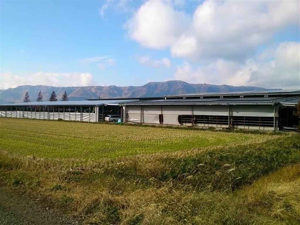 熊本県阿蘇市の洞田貫（どうだぬき）牧場は牛舎の建設に伴い太陽光発電システムを導入した