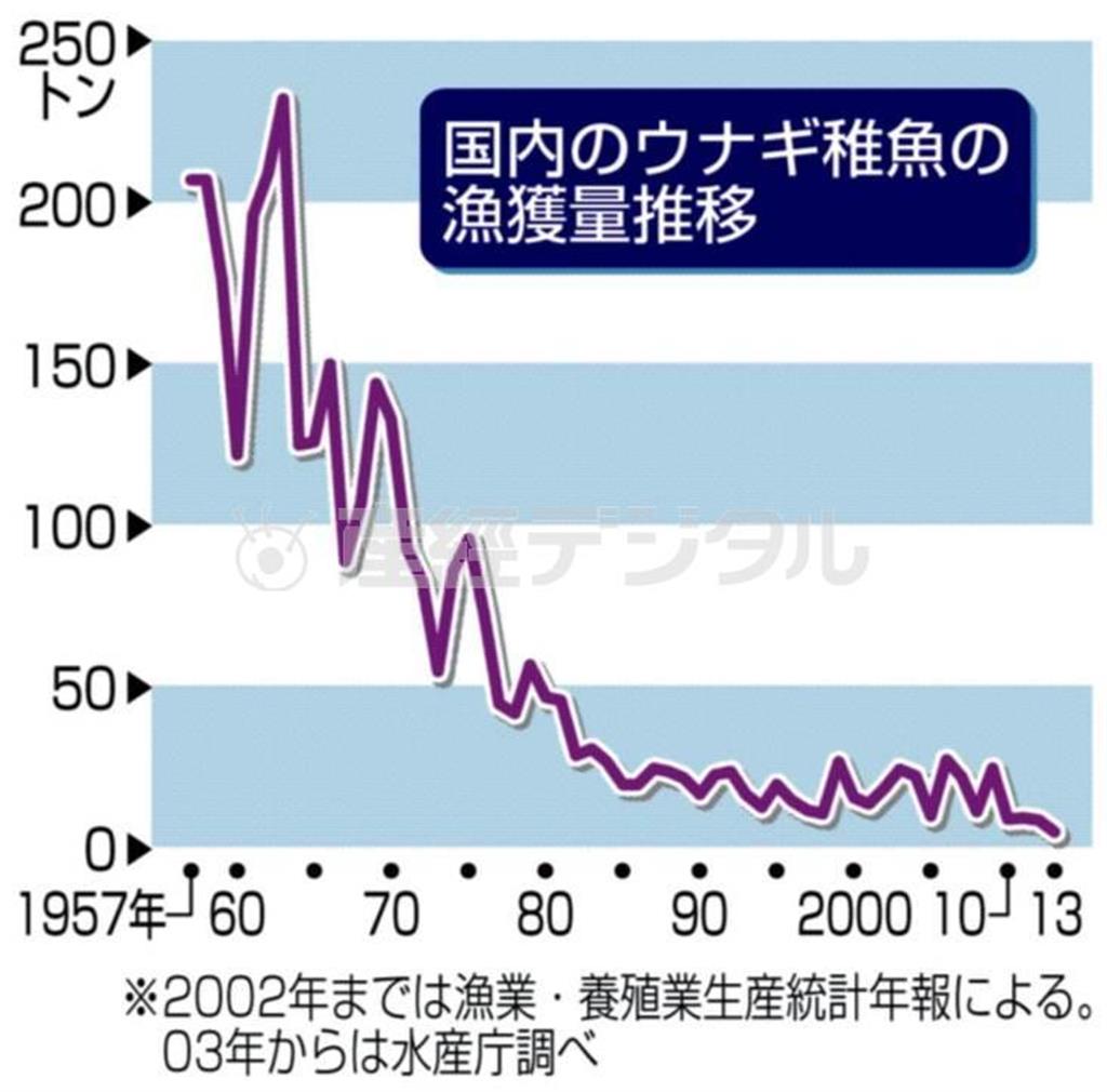 国内のウナギ稚魚の漁獲量推移＝２０１４年６月１５日現在、※２００２年までは漁業・養殖業生産統計年報による。２００３年からは農林水産省水産庁調べ
