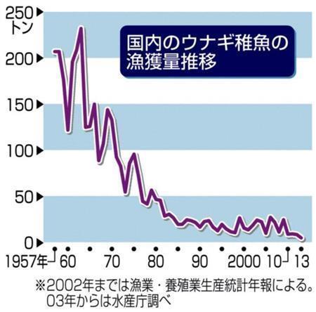 国内のウナギ稚魚の漁獲量推移＝２０１４年６月１５日現在、※２００２年までは漁業・養殖業生産統計年報による。２００３年からは農林水産省水産庁調べ