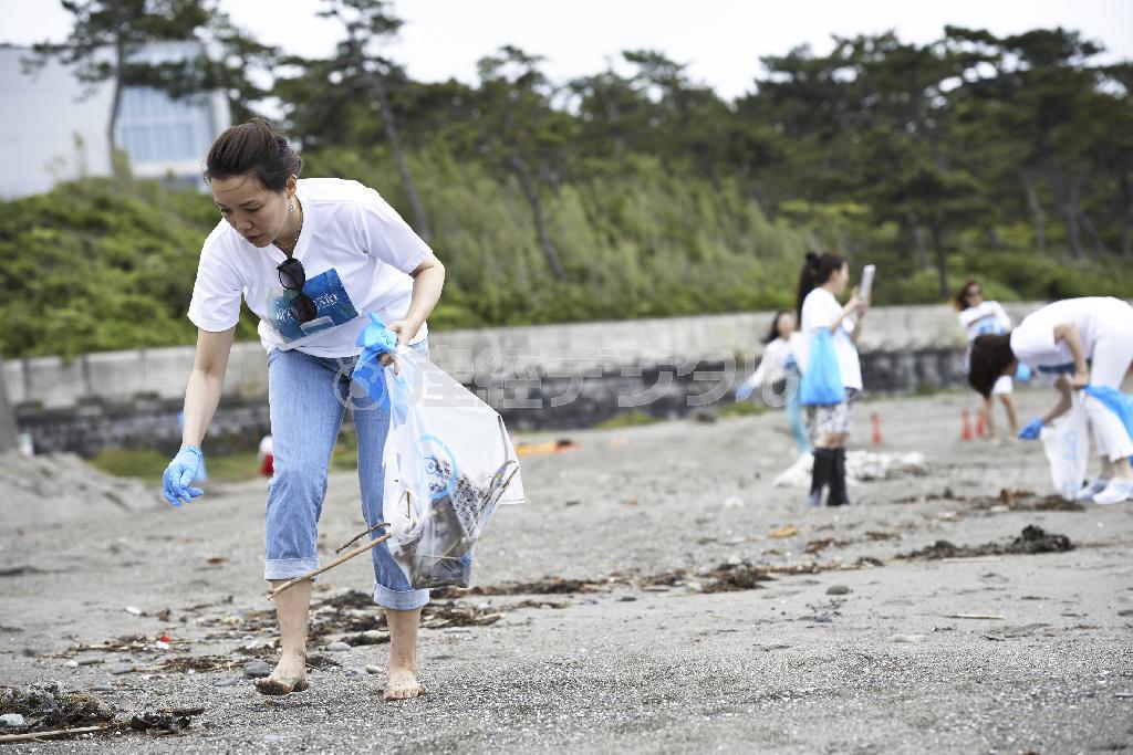 スキンケアのブランド「ドゥ・ラメール」のビーチクリーン活動の参加者は、海岸を散策しながらゴミを拾った＝２０１４年６月８日、神奈川県三浦郡葉山町の一色海岸（提供写真）