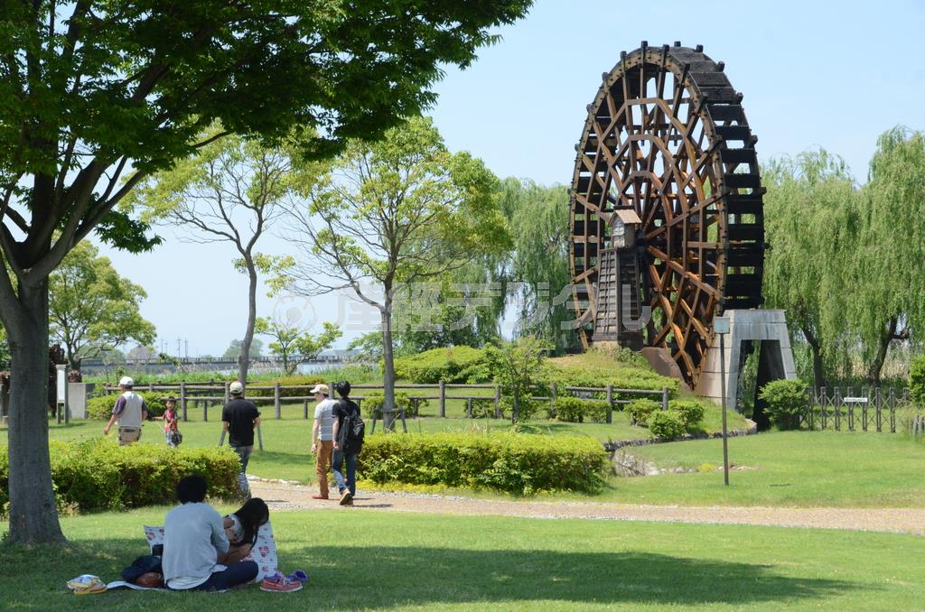 ふるさと創生事業で復元された大水車（直径１３メートル）＝２０１４年６月１日、滋賀県近江八幡市（原圭介撮影）