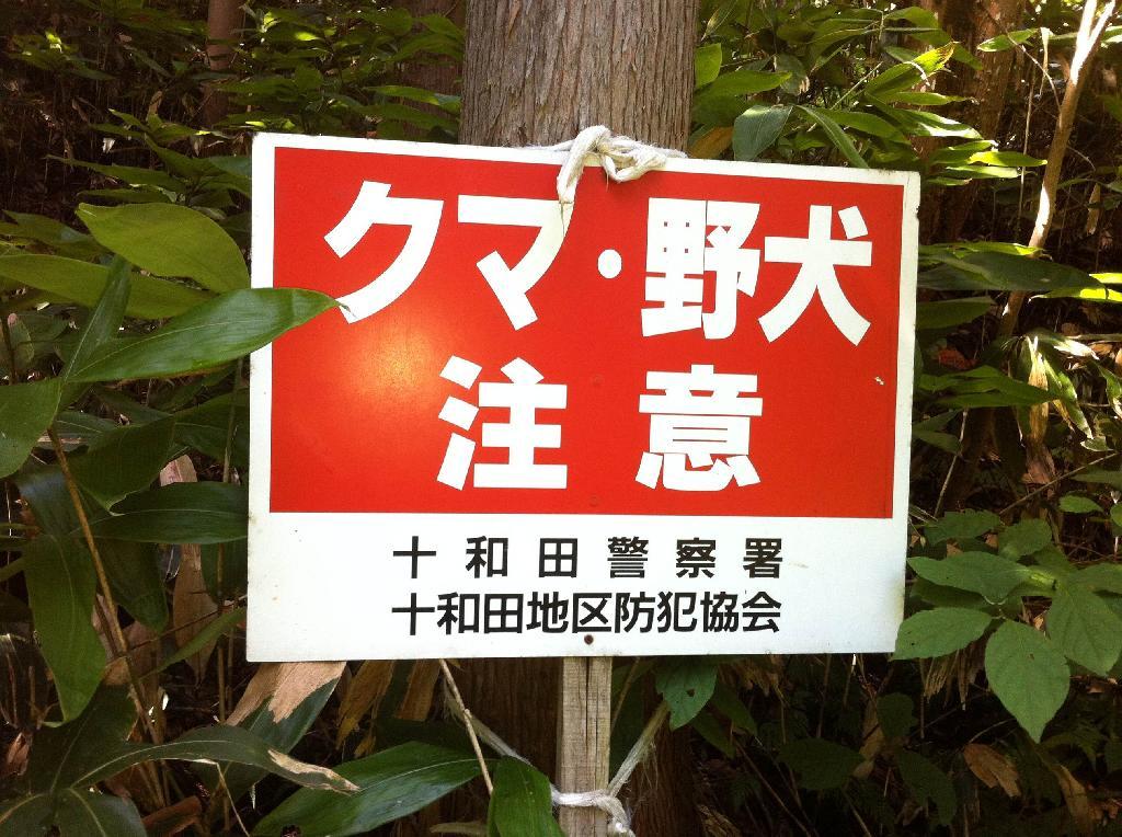 奥羽山系のブナ林の中に立てられた「クマ・野犬注意」の看板