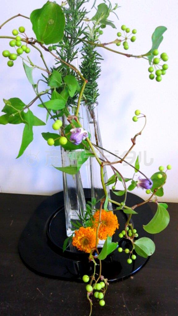 初夏のもてなし＿つるもので涼やかに（Ｆｉｎｉｓｈ！、花千代さん提供）