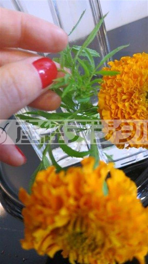 （手順４）最後に低いキューブ型の花瓶にマリーゴールドを２輪いけて、出来上がり（花千代さん提供）