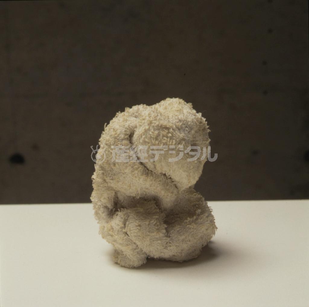 高柳恵里《スワンの午睡》１９９７年（山本純さん撮影、提供写真）