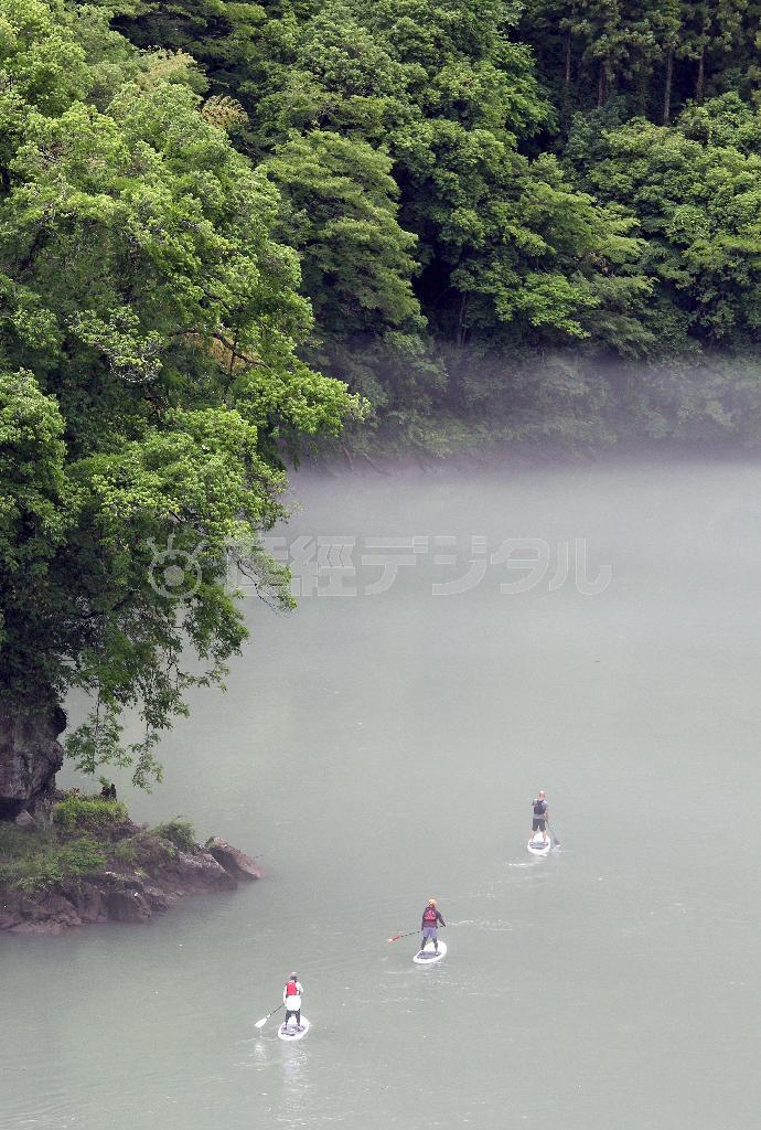 梅雨の白丸湖＝２０１４年６月８日、東京都西多摩郡奥多摩町（野村成次撮影）