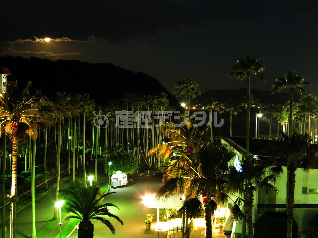 夜景や月明かりなどを携帯のカメラで撮るのはとても困難です。コンパクトカメラは低ノイズで感度を上げれば手振れを軽減できる、手持ちでもしっかりピントの合った写真の撮影は可能です＝２０１４年６月１３日（須藤夕子さん撮影）