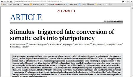 撤回を意味する「ＲＥＴＲＡＣＴＥＤ」の文字（上中央）が赤字で記されたＳＴＡＰ細胞論文