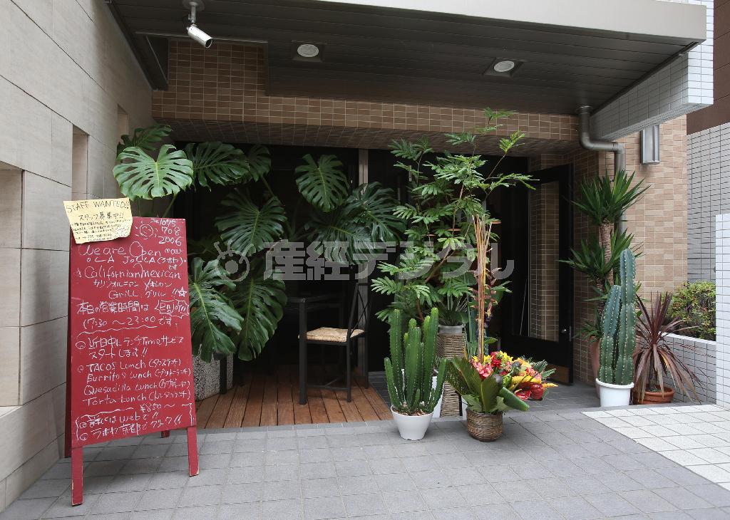 今年５月にリニューアルオープンしたばかり。観葉植物とサボテンが出迎えてくれる＝２０１４年６月１７日、京都市中京区（恵守乾撮影）