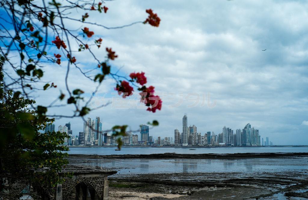 パナマ湾の先に見える首都パナマ市の高層ビル群＝パナマ（緑川真実さん撮影）