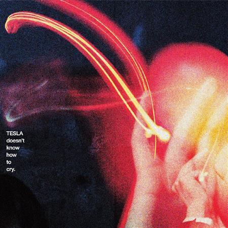 テスラは泣かない。「ＴＥＳＬＡ＿ｄｏｅｓｎ’ｔ＿ｋｎｏｗ＿ｈｏｗ＿ｔｏ＿ｃｒｙ．」。発売中（提供写真）