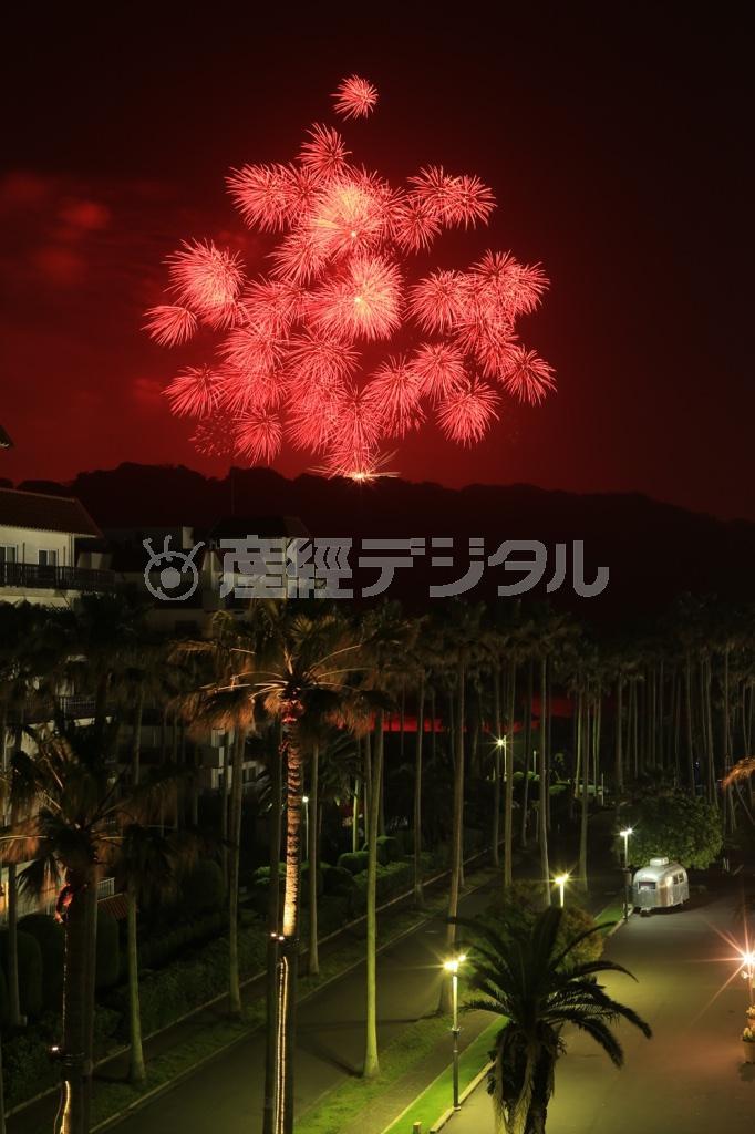 手前の街頭は脇役になるのですが、ただ光っているよりも星のように輝くと良いと思いました。絞りを絞ることで光の筋が多くなり、星のようになります（須藤夕子さん撮影）