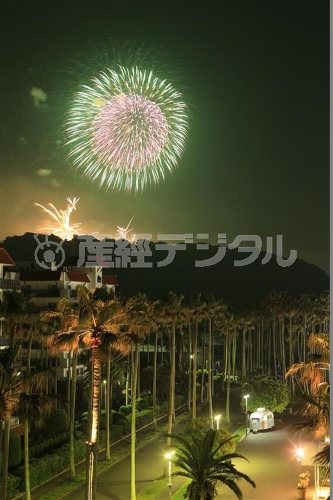 【ｂｅｆｏｒｅ】この写真は明るすぎてしまいました。夜の真っ暗な闇の中に花が咲く姿が美しいのですから、黒があまり明るすぎてしまっては眠たい写真になってしまいます（須藤夕子さん撮影）