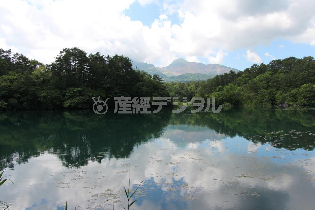 磐梯山の噴火で生まれた沼々からなる五色沼はトレッキング客に人気。最大規模の毘沙門沼には、左腹に「ハート」マークのある鯉がいて、見ると幸せになれる…とか＝２０１４年７月２日、福島県摩耶郡北塩原村（津川綾子撮影）