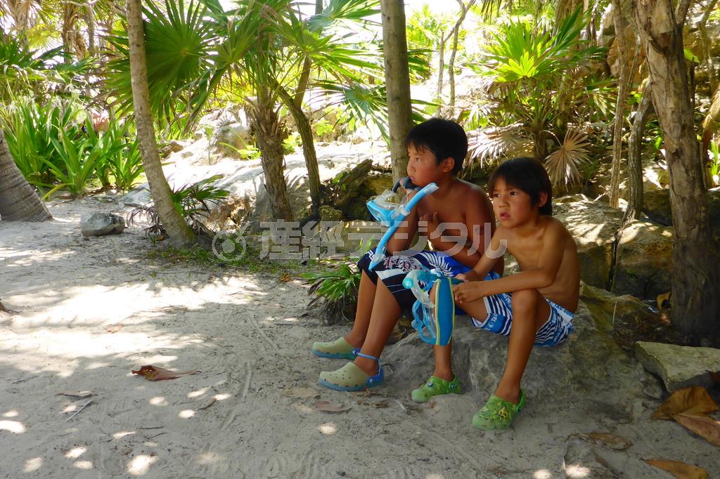 海に入ることしか頭に無い、長男の海友（かいと、左）君と二男の颯友（はやと）君。このときは、海へ通じる道が見つけられず、しばし路肩に座り込み、途方に暮れていた＝２０１３年７月２５日、メキシコ・カンクン沖のムヘーレス島（越智隆治さん撮影）