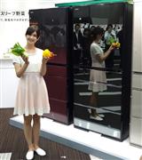 日立アプライアンスが発売する冷蔵庫「真空チルド」＝２３日、東京都港区