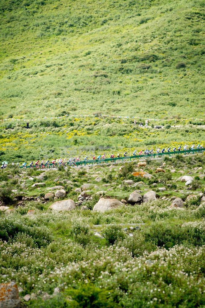 ３０００メートル級の山岳がたくさん盛り込まれた「ツアー・オブ・青海湖」。循化サラール族自治県からスタートした第８ステージ、最高地点海抜３５９４メートルの達里加山を登っていく＝２０１４年・７月１３日、中国・青海省（田中苑子さん撮影）