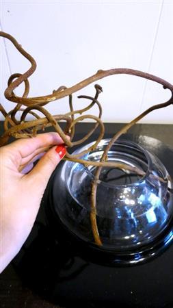 （手順１）浅いガラスの花器に水をはり、乾燥した赤づるを手で丸めるようにたわませ、フレームにするように花器に挿す（花千代さん提供）