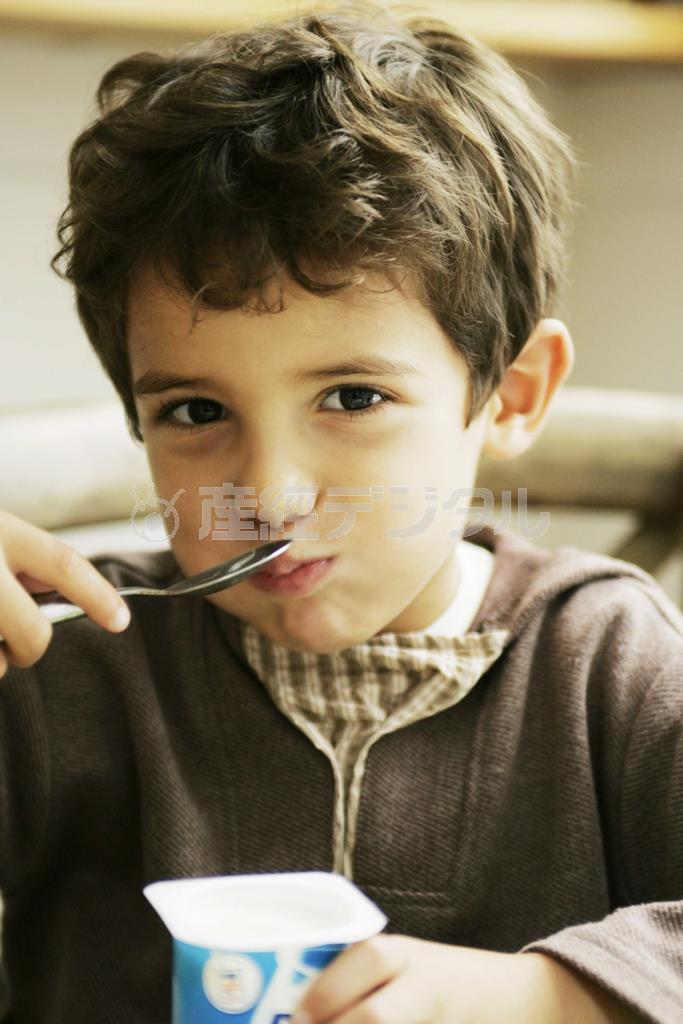 私の作品集の中の４歳のオスカー君（写真）と現在のオスカー君＝２００５年１０月９日、フランス・首都パリ（須藤夕子さん撮影）