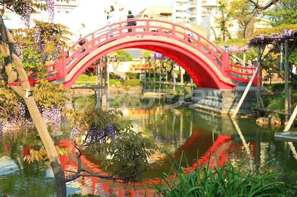 【読者写真（東京都板橋区、坂井俊作さん）】もうこの場所しかない！という最高のポジションからの撮影で、見事に安藤広重の浮世絵のような構図を作り出してますね！＝東京都江東区（提供写真）