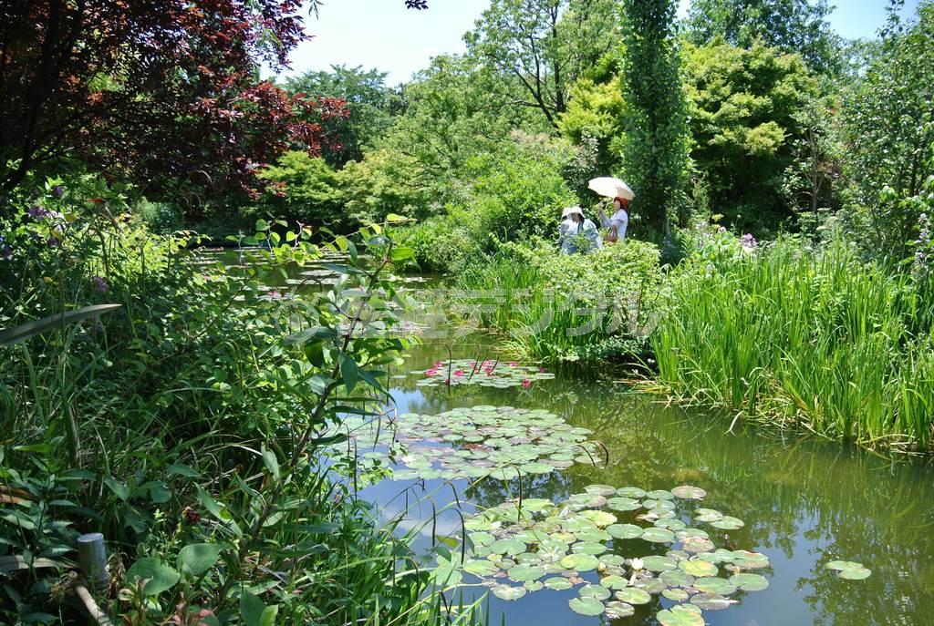 どこから見てもクロード・モネ（１８４０年～１９２６年）の絵のような「水の庭」＝２０１２年６月１３日、高知県安芸郡北川村の「北川村モネの庭マルモッタン」（唐木英明さん撮影）