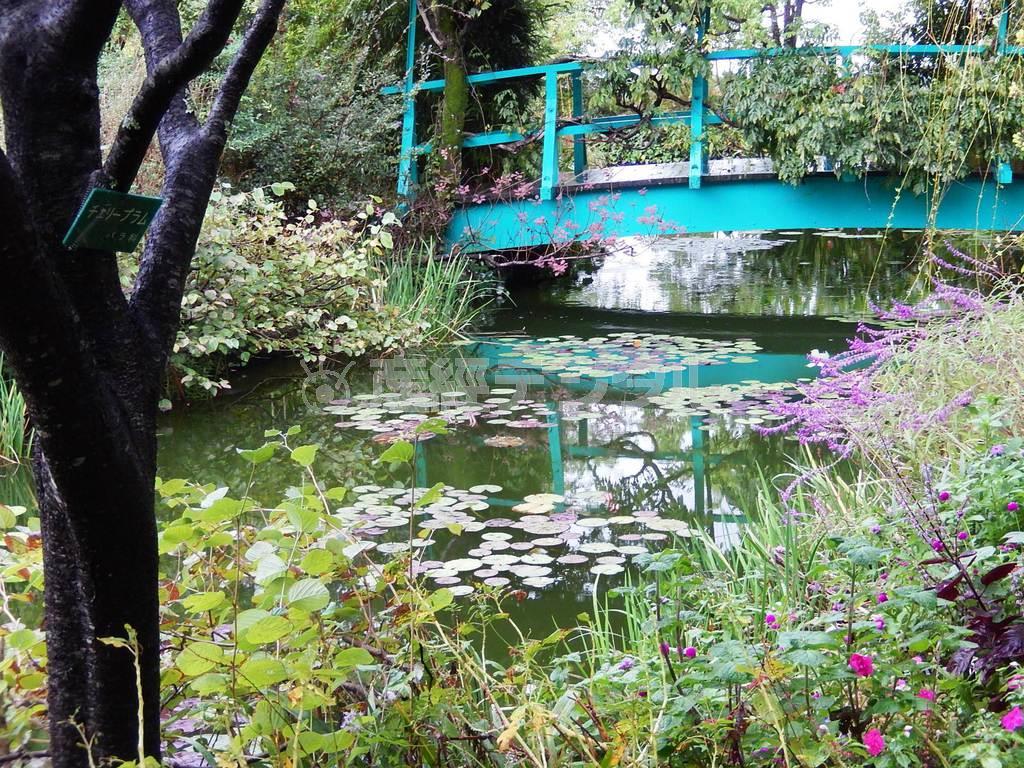 睡蓮の花が咲く池に太鼓橋がかかる「水の庭」。季節や時間の変化で印象が変わり、１日いてもあきない＝２０１３年１０月２４日、高知県安芸郡北川村の「北川村モネの庭マルモッタン」（唐木英明さん撮影）
