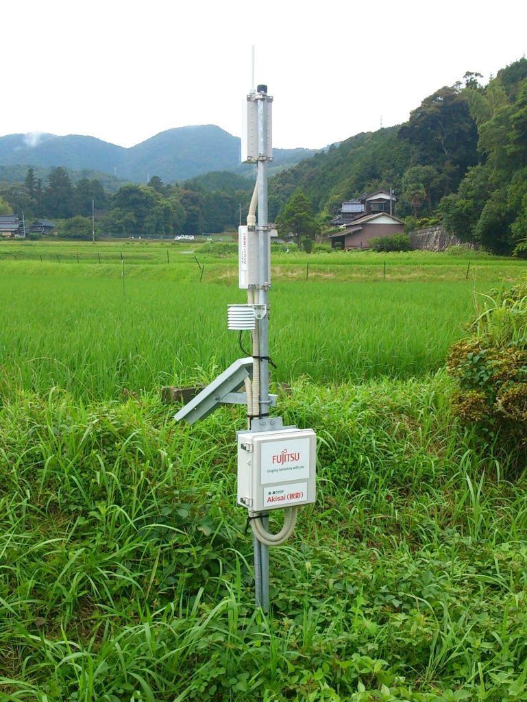 旭酒造の日本酒「獺祭」の原料となる酒造米「山田錦」を生産する山口県の田んぼ（富士通提供）