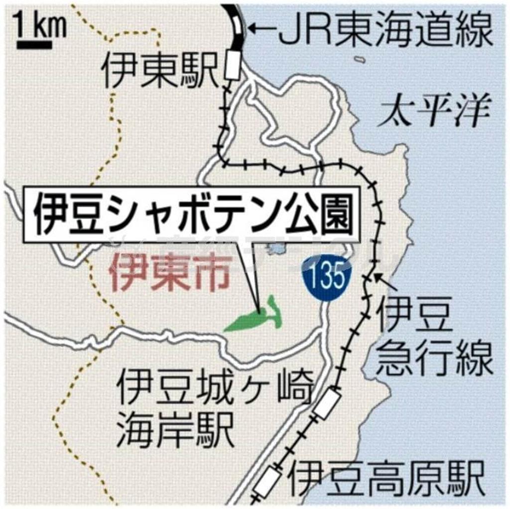 静岡県伊東市・伊豆シャボテン公園