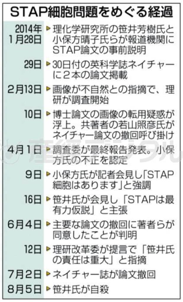ＳＴＡＰ細胞問題をめぐる経過＝２０１４年１月２８日～８月５日